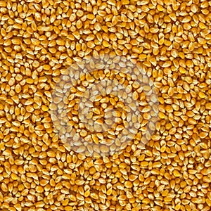 Seamless Tileable Texture of Corn Beans.