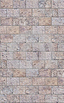 Seamless Tileable Texture of Stone Wall Blocks