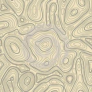 Seamless topographic map texture. Cartography elevation maps contour, contoured terrain lines vector background photo