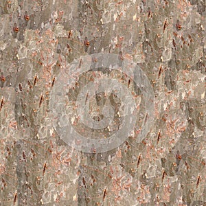 Seamless Tree Bark Texture