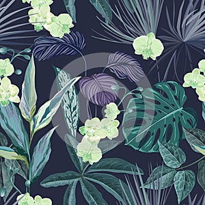 Seamless Tropical Background with Philodendron and Monstera Rainforest Plants, Floral Wallpaper Print