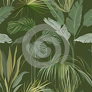 Seamless Tropical Botanical Background, Floral Wallpaper Print with Exotic Philodendron Monstera Jungle Leaves