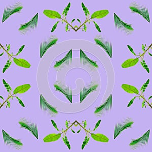 Seamless of tropical exotic plant leaf,green leaves pattern are made new color for nature concept,abstract background for textile