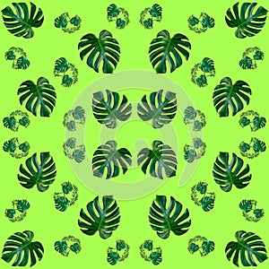 Seamless of tropical exotic plant leaf,green leaves pattern are made new color for nature concept,abstract background for textile