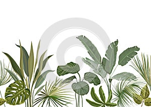 Seamless Tropical Floral Print with Exotic Green Jungle Leaves on White Background. Rainforest Plants Wallpaper Template
