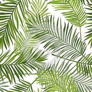 Seamless Tropical Palm Leaves Background