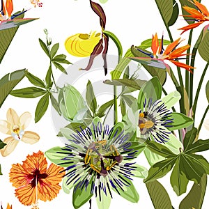 Seamless tropical palm leaves, Passiflora, orchid, strelitzia flowers. Jungle leaves floral pattern background.