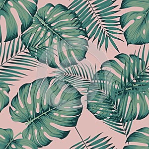 Seamless tropical pattern with leaves monstera and areca palm leaf on a pink background