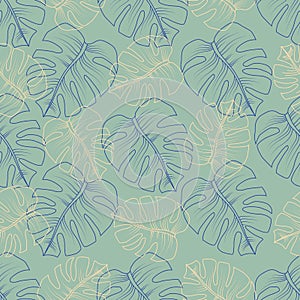 Seamless tropical pattern with leaves monstera on a green background