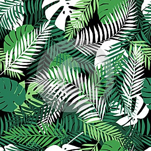 Bezšvový tropický vzor palma listy 