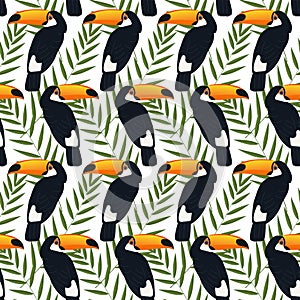 Seamless tropical pattern, palm leaves, toucan birds on a white background.