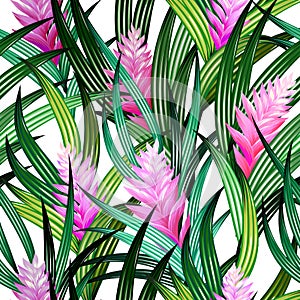 Seamless tropical vector pattern