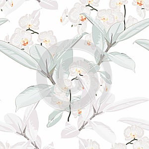 Seamless tropical white orchid flowers and Ficus Elastica pattern on light background. Exotic print.