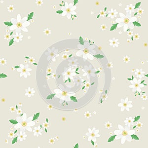 Seamless Valkovuokko floral pattern, Beautiful Wood anemone floral, bloomy plant grass decor, illustration - Vector