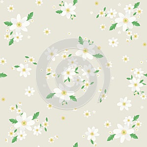 Seamless Valkovuokko floral pattern, Beautiful Wood anemone floral, bloomy plant grass decor, illustration - Vector photo