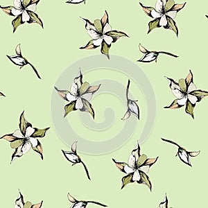 Seamless vector background. Gentle white flowers on a light green background. Summer floral texture drawn by mascara