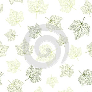 Seamless vector background. Green leaves with veins.