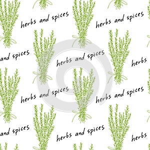 Seamless vector background with savory, hand drawn herbs background