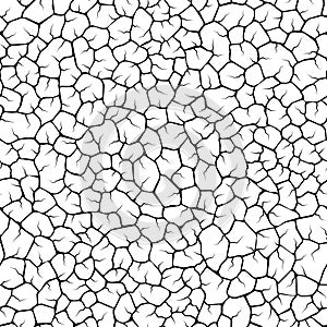 Seamless vector black and white texture of cracks