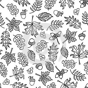 Seamless vector doodle leaves background. Black leaves on a white background. Acorns, oak tree, maple tree pattern. Monochrome