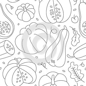 Seamless vector endless background with various shape pumkins. Autumn squash in contour linear hand drawn style made as repeat pat