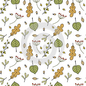 Seamless vector fall nature pattern from forest berries colorful oak ash tree leaves branches twigs in free hand doodle style