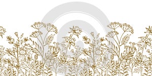 Seamless vector floral border with black white hand drawn herbs and wild flowers