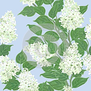 Seamless vector floral pattern