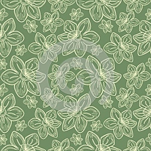 Seamless vector flowers pattern, vintage background with line drawed frowers, over pastel green backdrop