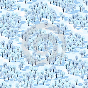 Seamless vector illustration, winter forest landscape with trees covered with hoarfrost.