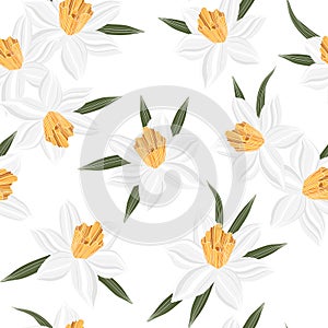 Seamless vector jonquil flower pattern background
