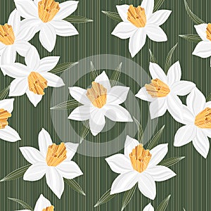 Seamless vector jonquil flower pattern background