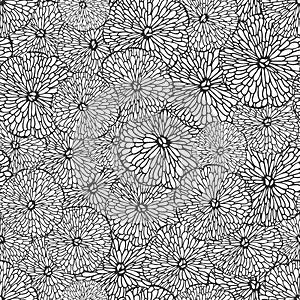 Seamless vector lace pattern with flower decoration chrysanthemum.