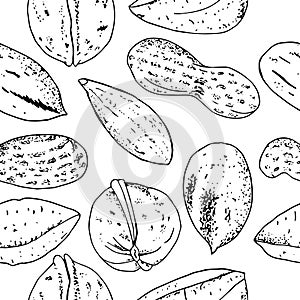 Seamless vector nuts pattern. Outline hand drawn illustration