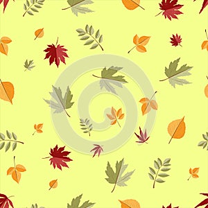 Seamless vector pattern in autumn style, tree leaves on the background