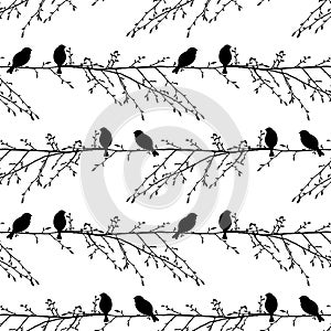 Seamless vector pattern background of silhouettes sparrows birds sitting on tree branches in spring, isolated on white