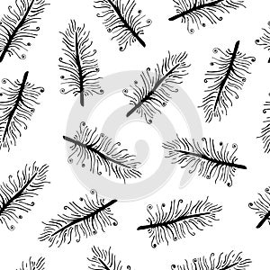 Seamless vector pattern with bird feathers. Beautiful vintage feathers on a white background. Black contour, silhouette of gracef