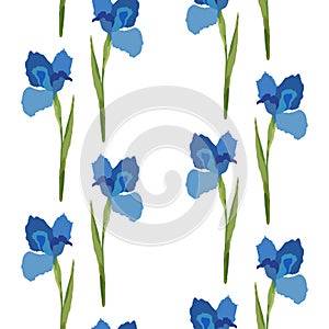 Seamless vector pattern. Blue flowers iris. Romantic background banner.