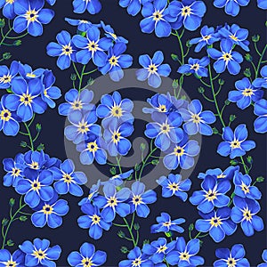 Seamless vector pattern with blue  Forget Me Nots on dark background.
