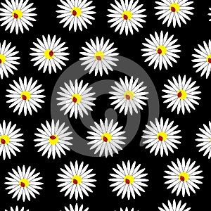 Seamless vector pattern of camomiles and ladybugs.