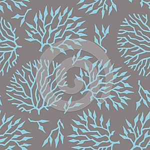 Seamless vector pattern colorful algae and plants