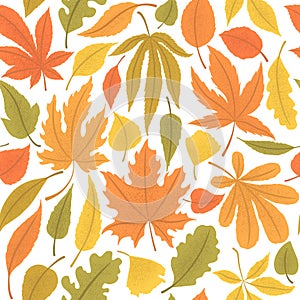 Seamless vector pattern with colorful autumn leaves isolated on white background. Autumn foliage illustration for invitation,