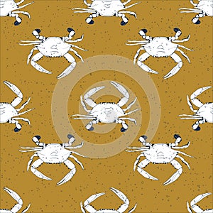 Seamless vector pattern with crabs. Hand drawn animals under water perfect for shop or restaurant menu, flyer, banner, print