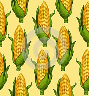 Ripe corn