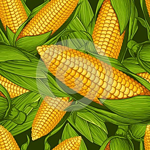 Ripe corn