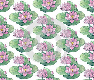 Seamless vector pattern of gentle pink Lotus flowers and leaves. Water lily. Vintage style. hand drawn Botanical illustration.