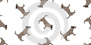 Seamless vector pattern of hand drawn brown terrier dogs,background isolated on white