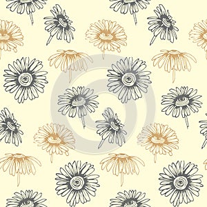 Seamless vector pattern with hand drawn daisy flowers. Design for covers, textile, packaging