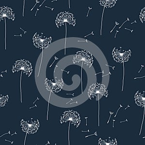 Seamless vector pattern with hand drawn doodle dandelions. Background with delicate airy flowers