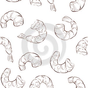Seamless vector pattern of hand drawn shrimp on a white background. Realistic illustration